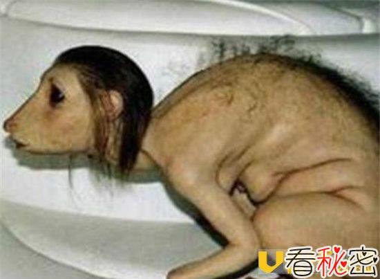 科学家证实水猴子真的存在 水底健将不能上陆