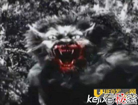 布雷路怪兽长什么样子？目击者自曝劲爆的惊险画面