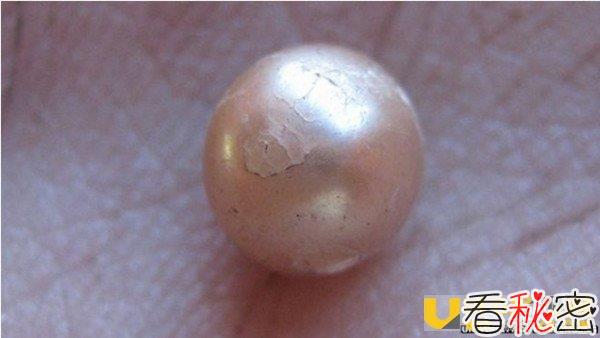 澳洲考古学家意外发现罕见2000年前天然珍珠