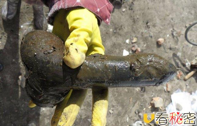 波兰剑术学校古迹挖出300年前做工精致的假阳具