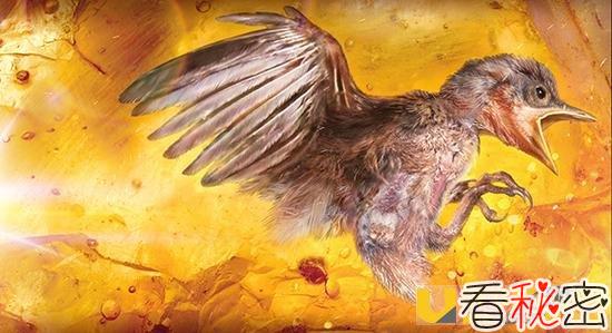 人类首次在琥珀中发现雏鸟化石 马上要来上海展出一个月