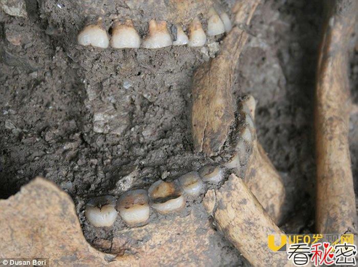 8600年前农产品已出现在巴尔干地区