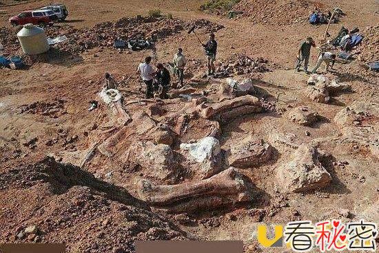 牧羊人发现神秘巨骨 挖出迄今为止最大的恐龙