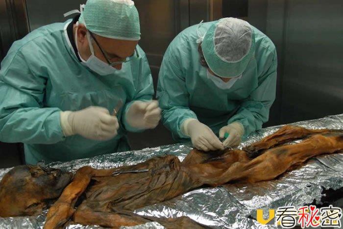 来自5300年前木乃伊“冰人”的肠道微生物给远古人文地理提供线索