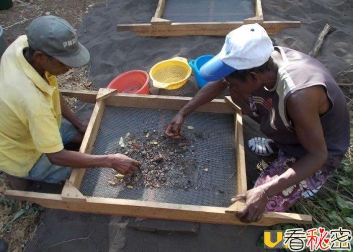 非洲国家马达加斯加出土千年谷物 或证原住民来自东南亚