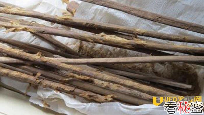 中国西北沙漠发现两千年前厕所 古代粪便研究提供丝路疾病传播最早证据