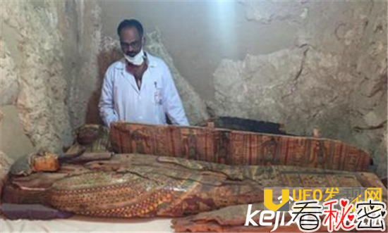 埃及出土木乃伊：1墓17尸 木乃伊绘图让人惊喜