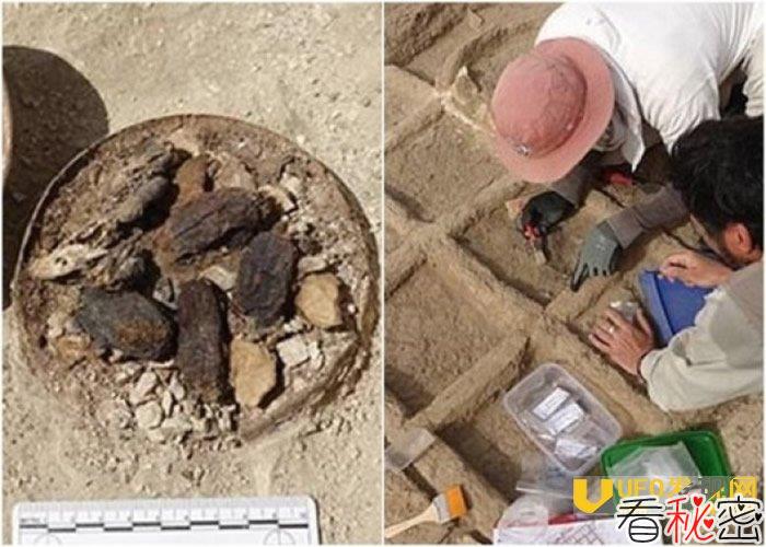 埃及德拉阿布纳加古墓地区发现4000年历史陪葬花园