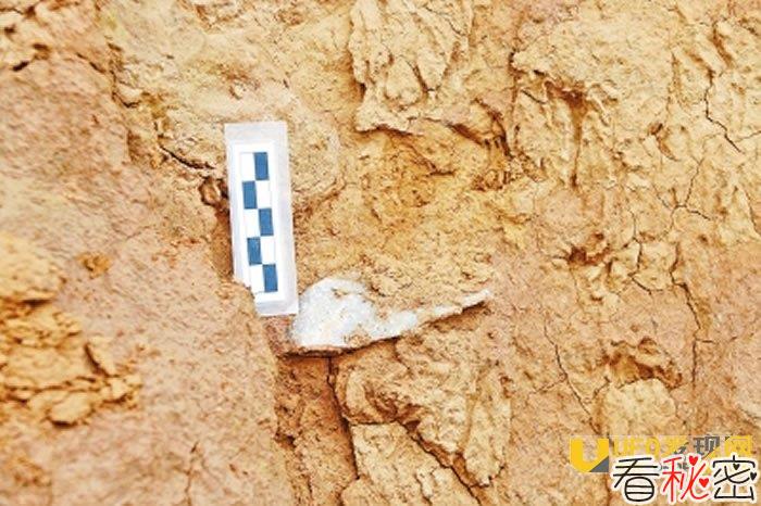 古人类研究获重大进展：三门峡地区发现距今约100万年石制品