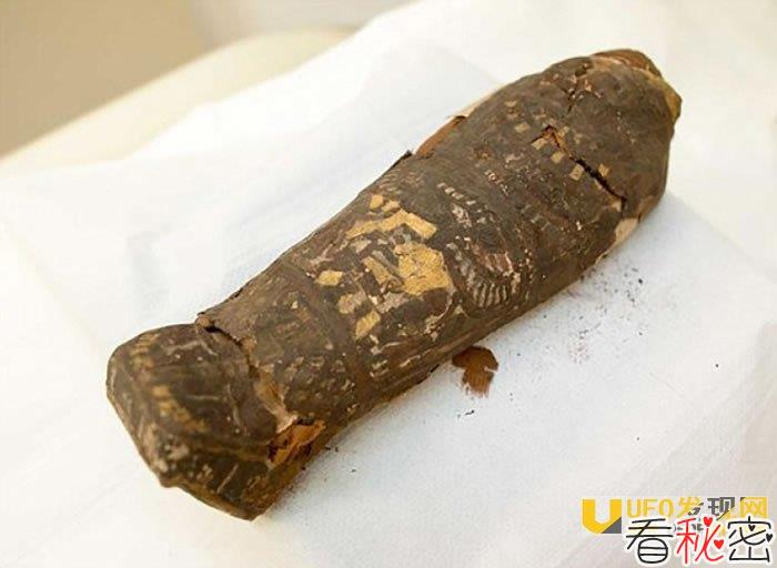 英国肯特郡博物馆发现2300年历史古埃及鹰木乃伊真身竟是流产人类胎儿