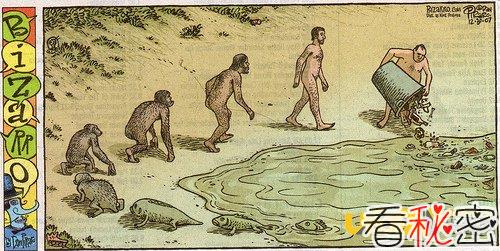 科学家发现“海归”古猿，险改写人类进化史