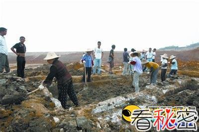 武汉挖出3座清代墓 罕见西洋物品现身