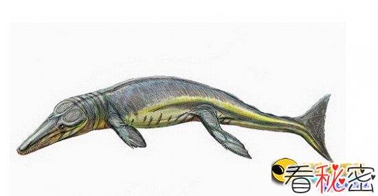 盘点恐龙时代的八大远古鳄鱼物种