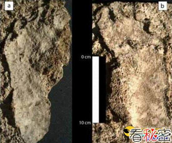 墨西哥沙漠发现北美最早人类脚印