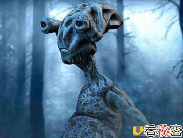 人类无须再痴迷于寻找外星人 我们或许就是地球上的外星来客