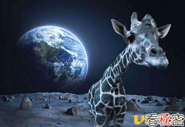 什么是“宇宙动物园说”? 外星人或始终在观察着人类