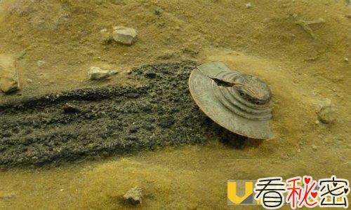 加州中部UFO大三角疑为外星人基地