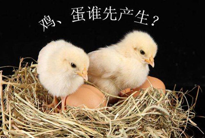 先有鸡还是先有蛋答案来了