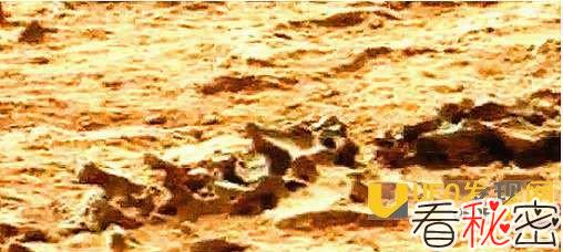 火星发现恐龙古化石？ 火星疑现未知生物骨骸