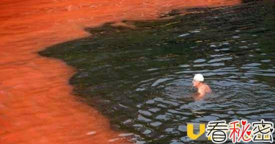 悉尼惊悚血色海水 相关人士称可能存在某种毒素