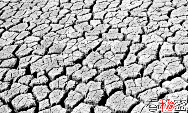 旱灾多发国家有哪些?盘点世界上10个最干旱的国家