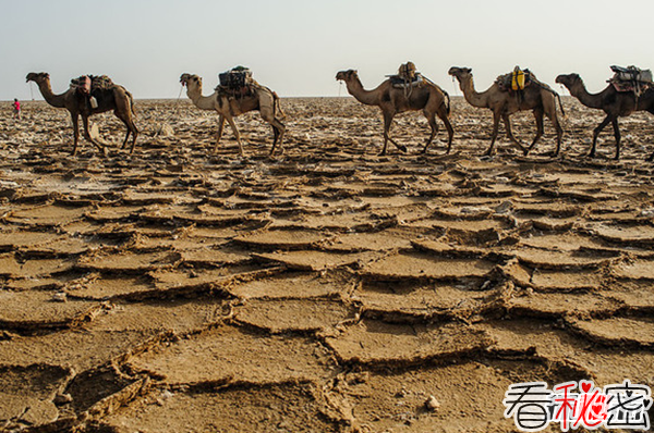 地球上10个最低的地方 死亡谷上榜,第六堪称人间地狱