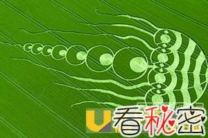神秘麦田怪圈到底是如何形成的？