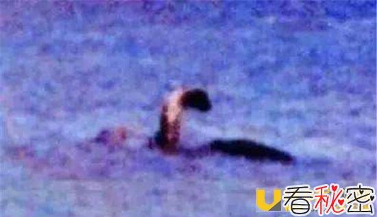传说中的水猴子真的有吗？ 水猴子长什么样？