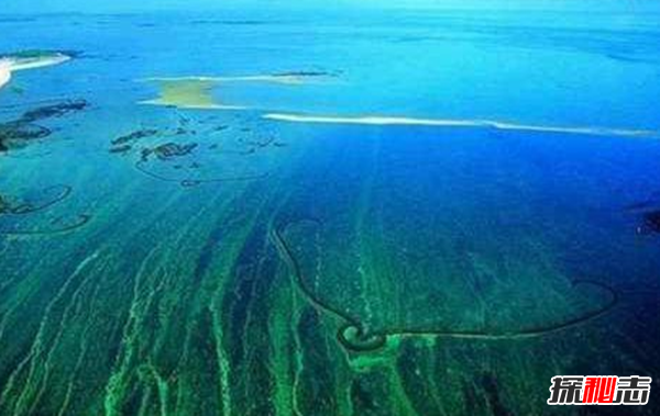 世界上无海岸线的大海 神秘万分透明度达66米