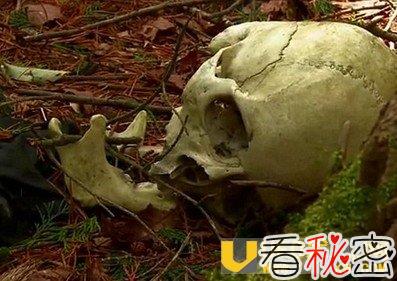每三天有一人来此了断的集中自杀森林