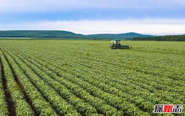 世界大豆产量最多的国家,美国年产量1.08亿吨居第一