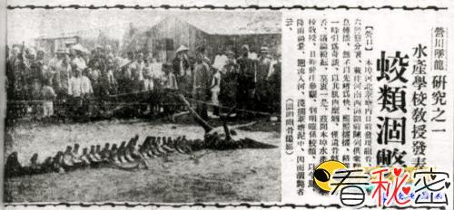 中国惊现真龙标本 华夏族竟是龙之血脉