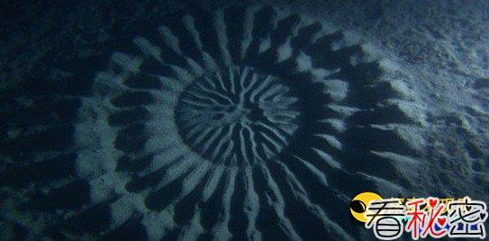 日本海底竟然也有直径1.8米海底“怪圈”