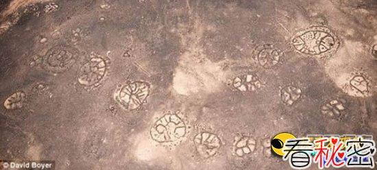 中东神秘石轮图案疑为古人类杰作