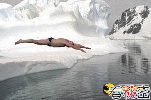 冰水里游泳 揭秘冰人不怕冷冻之谜