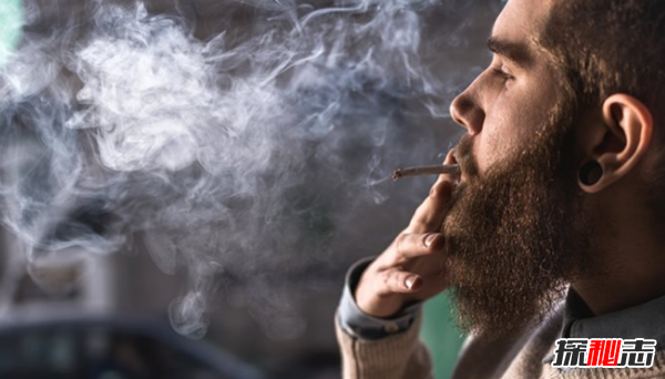 吸毒的人身上有香味?吸食大麻的十大好处和坏处