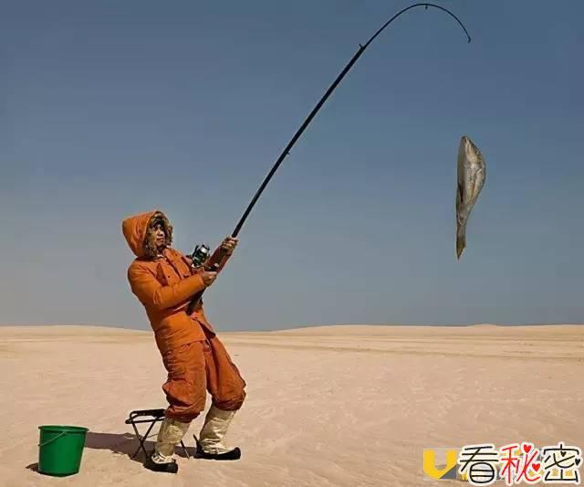 见过在沙漠的沙子里钓鱼吗? 这种鱼中异类为什么能在极端沙漠中生存?