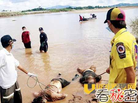 湄公河惨案死多少警察：背后惊人真相竟是这！