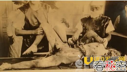 731部队女子性试验过程 在女性身上试验梅毒