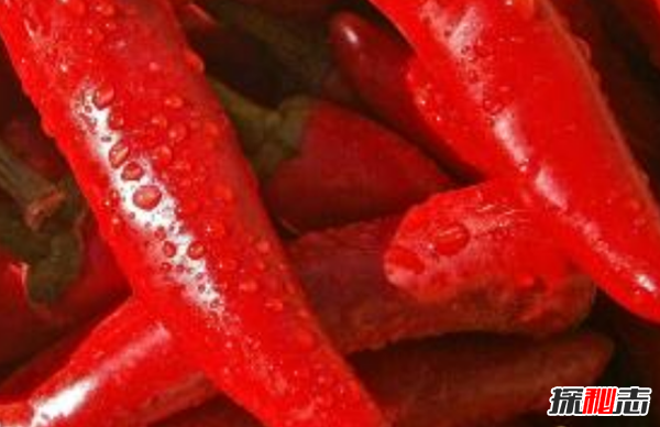 辣椒的12大营养价值及功效 能当止痛剂,还能预防心脏病